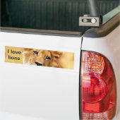 Mein niedliches Löwengesicht Autoaufkleber (Auf Lkw)