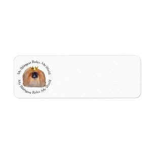 Mein Pekinese beherrscht meine Welt