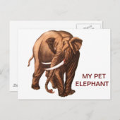 MEIN PET ELEPHANT POSTKARTE (Vorne/Hinten)