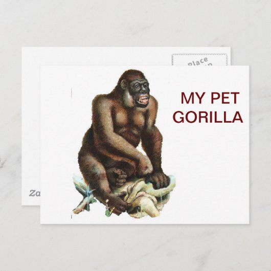MEIN PET GORILLA POSTKARTE (Vorne/Hinten)