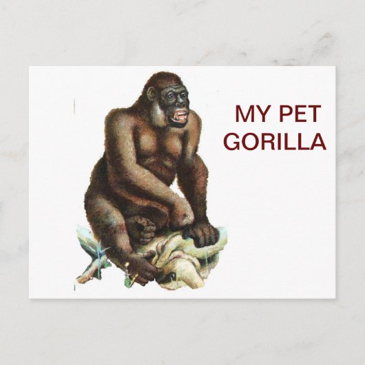 MEIN PET GORILLA POSTKARTE (Vorderseite)