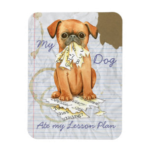 Mein Petit Brabancon Ate Mein Lektionsplan Magnet