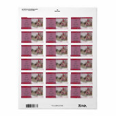 mein Pferd war Engel Rücksendeadresse Adressaufkleber (Vorne)