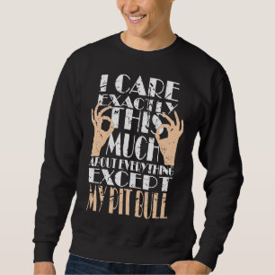 Mein Pit Bull ist alles, was mir wichtig ist Sweatshirt