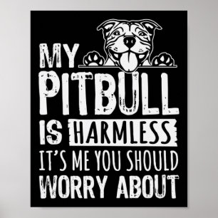 Mein Pitbull ist harmlos für mich. Du solltest dic Poster