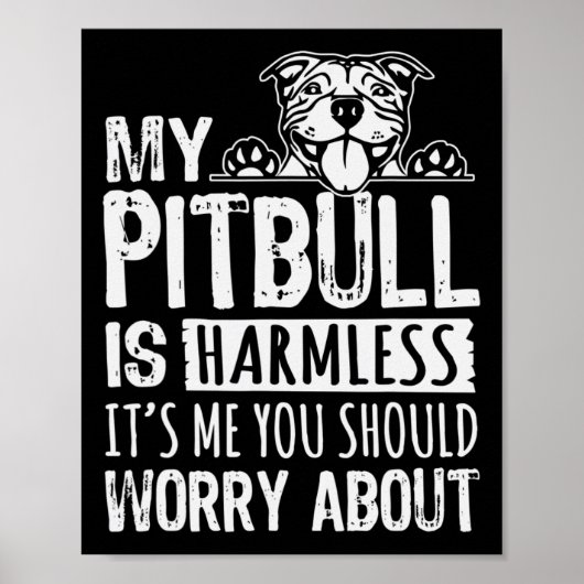 Mein Pitbull ist harmlos für mich. Du solltest dic Poster (Vorne)