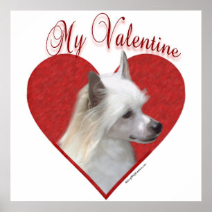 Mein Powderpuff Chinesisch Crested Valentine Poster