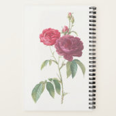 Mein Praetjournal Notizblock (Rückseite)