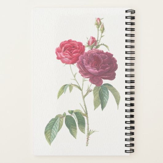 Mein Praetjournal Notizblock (Rückseite)