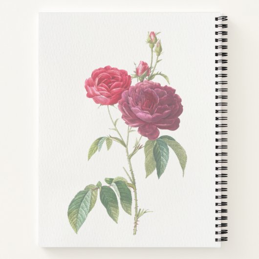 Mein Praetjournal Notizblock (Rückseite)