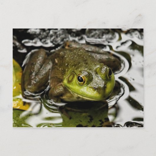 Mein Prinz Postkarte (Vorderseite)