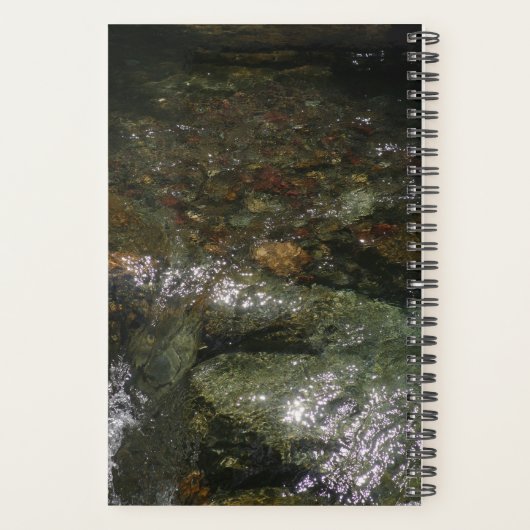 Mein Reiseplaner Planer (Rückseite)