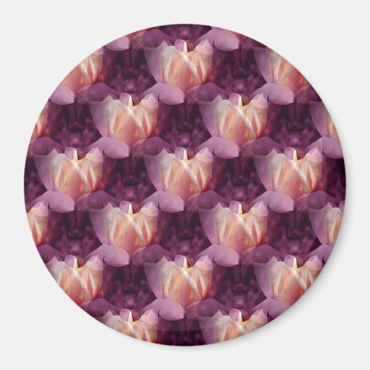 Mein Rose Bett. Magnet (Vorne)