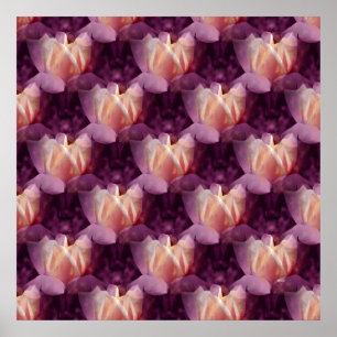 Mein Rose Bett.... Poster