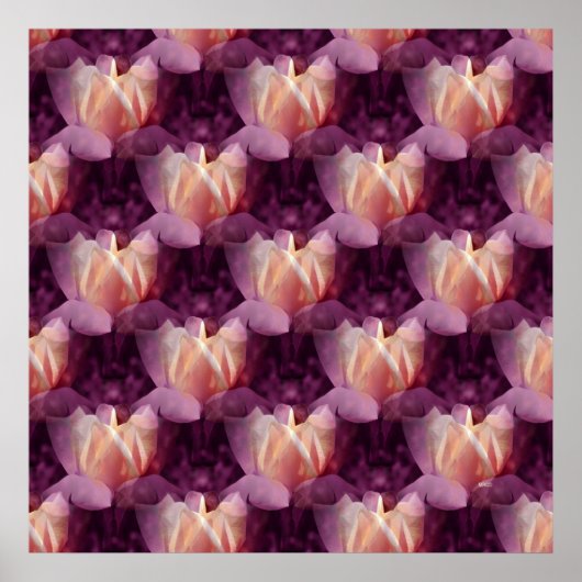 Mein Rose Bett.... Poster (Vorne)