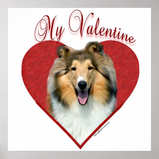 Mein Rough Collie Valentine Poster (Vorne)