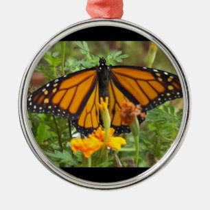 Mein Rundschmuck mit Monarchen-Schmetterling-Prämi Silbernes Ornament
