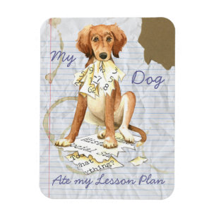 Mein Saluki Ate my Lessingplan Magnet