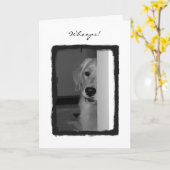 Mein Schlechtes Karte (Gelbe Blume)