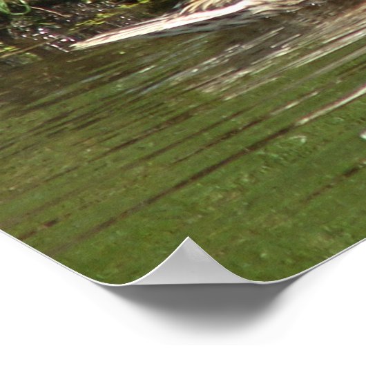 Mein schönes Mädchen Poster (Ecke)