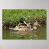 Mein schönes Mädchen Poster (Vorne)