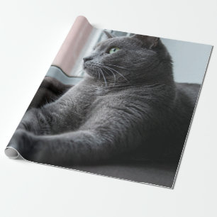 MEIN SCHWEIZER ROUTER RÜCKHALTETE KITTEN GESCHENKPAPIER