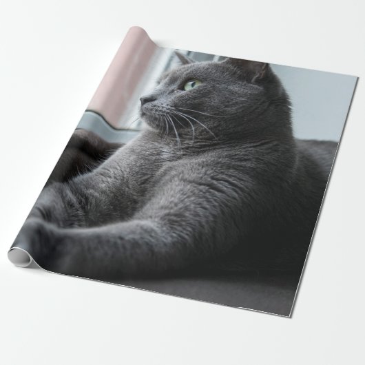 MEIN SCHWEIZER ROUTER RÜCKHALTETE KITTEN GESCHENKPAPIER (Ungerollt)