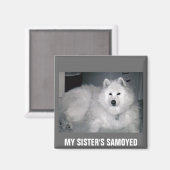 MEIN SCHWESTER IST SAMOYED MAGNET (Vorderseite/Rückseite)