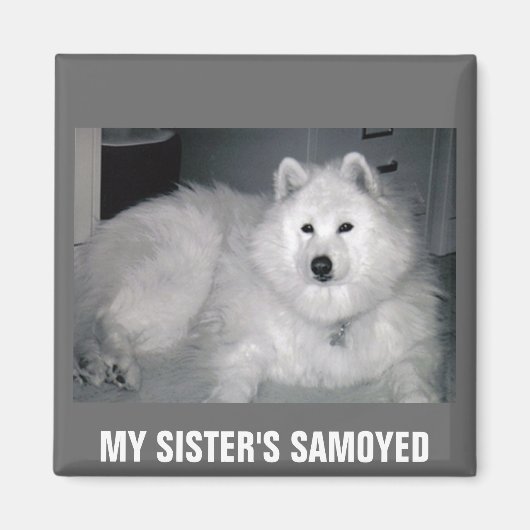 MEIN SCHWESTER IST SAMOYED MAGNET (Vorne)