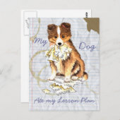 Mein Sheltie Ate my Lessingplan Postkarte (Vorne/Hinten)