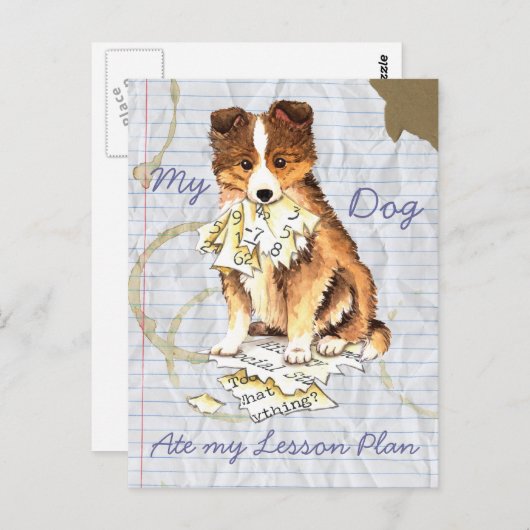 Mein Sheltie Ate my Lessingplan Postkarte (Vorne/Hinten)