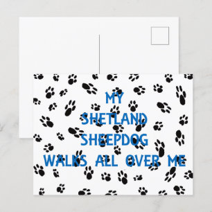 Mein Shetland Sheepdog geht durch mich Postkarte