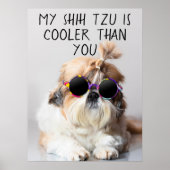 Mein Shih Tzu ist Cool als du Sonnenbrillen Foto Poster (Vorne)