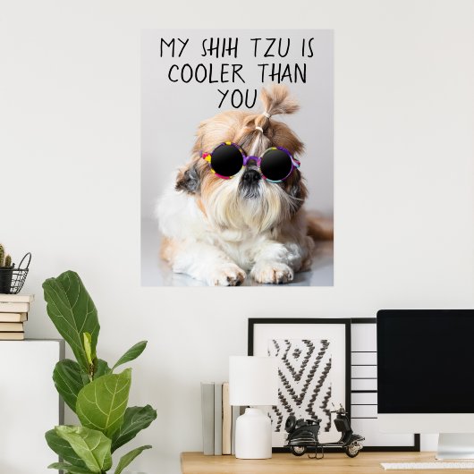 Mein Shih Tzu ist Cool als du Sonnenbrillen Foto Poster (Heimbüro)