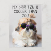 Mein Shih Tzu ist Cool als du Sonnenbrillen Foto Postkarte (Vorderseite)