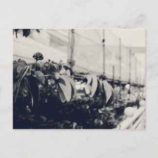 Mein Singapur: Heartlands Series #6 Postkarte