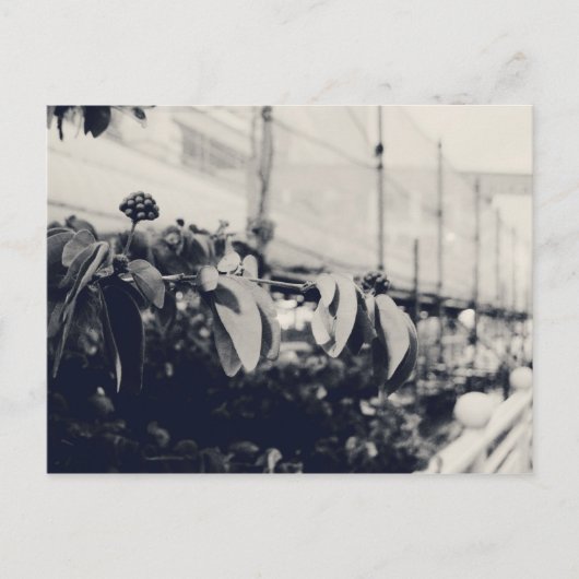 Mein Singapur: Heartlands Series #6 Postkarte (Vorderseite)