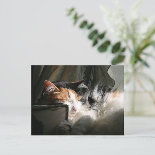 Mein Sonnenstrahl Postkarte (Stehend Vorderseite)