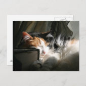 Mein Sonnenstrahl Postkarte (Vorne/Hinten)