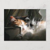 Mein Sonnenstrahl Postkarte (Vorderseite)