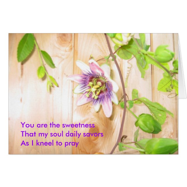 Mein Soul Savors Daily (Vorderseite (Horizontal))