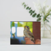 Mein Sperlingsfreund Postkarte (Stehend Vorderseite)