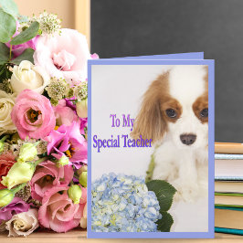 Mein Speziallehrer danke Ihnen Doggie Card