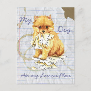 Dog    Postkarte Bernhardiner  &  Spitz Pomeranian  **  Hund Postcard 