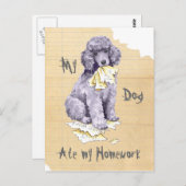 Mein Standard Poodle Ate meine Hausaufgaben Postkarte (Vorne/Hinten)