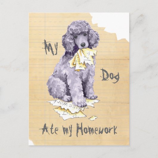 Mein Standard Poodle Ate meine Hausaufgaben Postkarte (Vorderseite)
