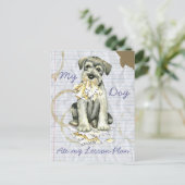 Mein Standard Schnauzer Ate mein Lektionsplan Postkarte (Stehend Vorderseite)