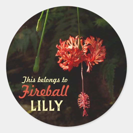 Mein Stuck mit japanischer Laterne Runder Aufkleber (Vorderseite)