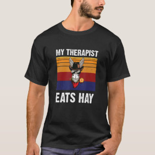 Mein Therapeut isst Hay-Vintages Pferd T-Shirt