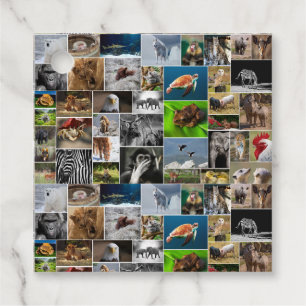 "Mein Tierreich" - Begleithefte für Wildtiere Geschenkanhänger